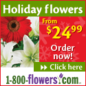 Holiday Flowers From $24.99!